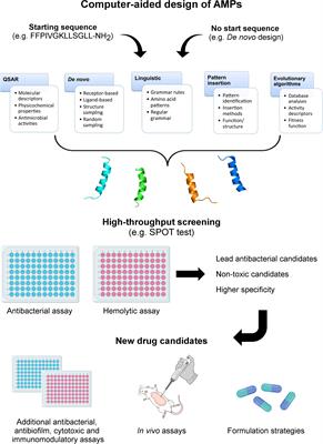 Computer-Aided Design of Antimicrobial Peptides: Are We Generating Effective Drug Candidates?